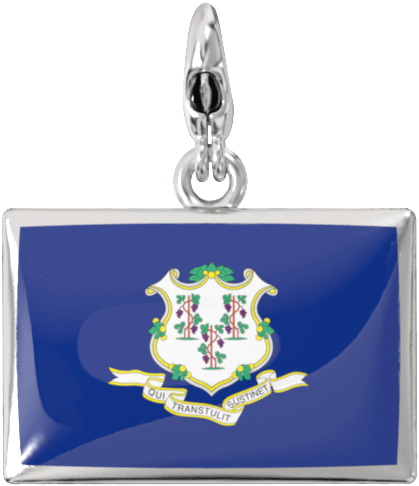 USA State Charm Set