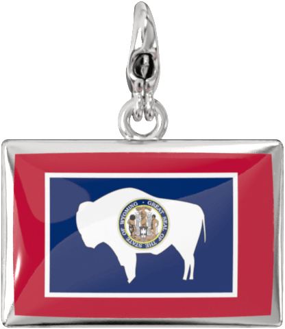USA State Charm Set