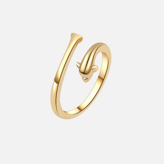 Ozean-Delfin-Ring 