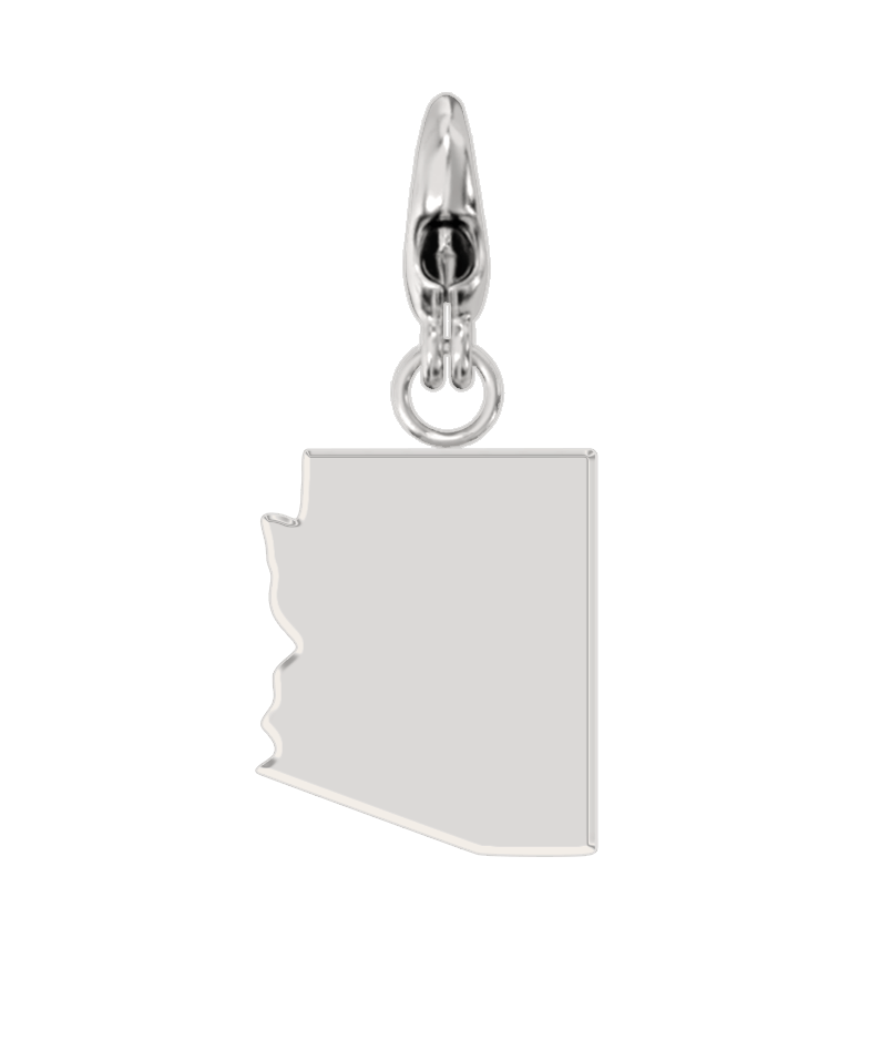 USA State Charm Set