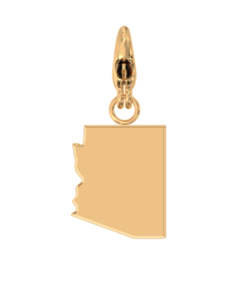 USA State Charm Set