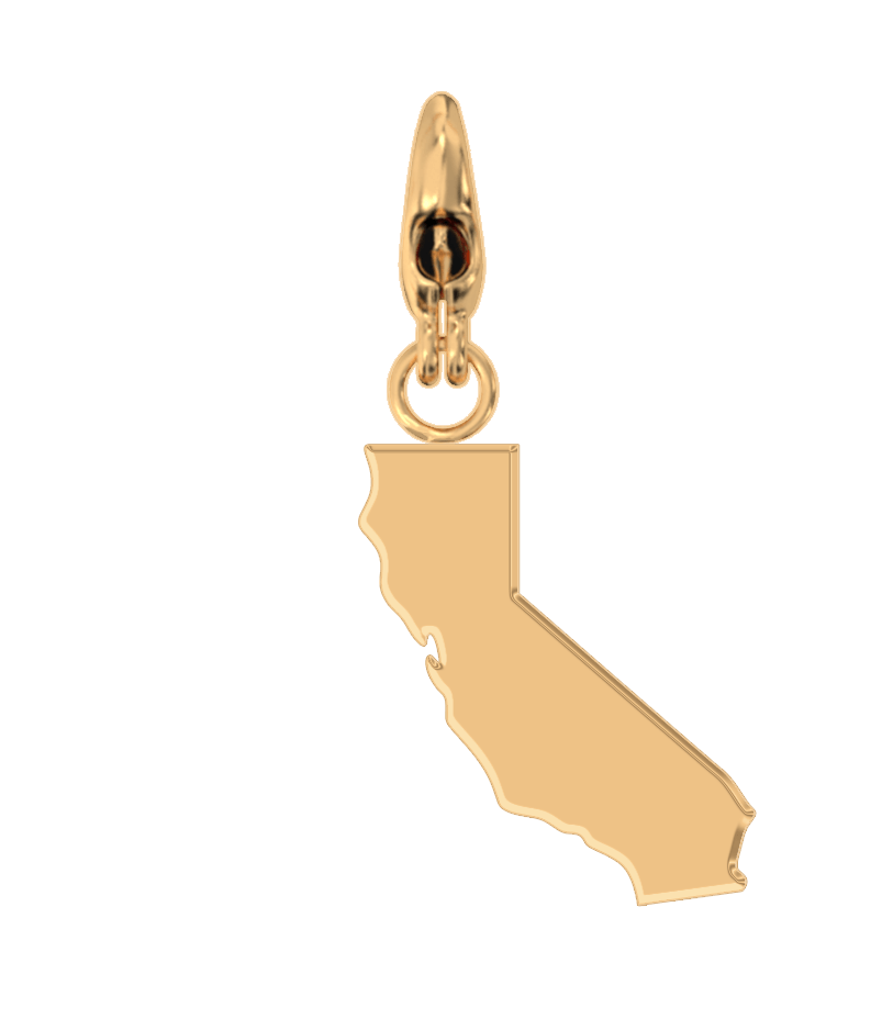 USA State Charm Set