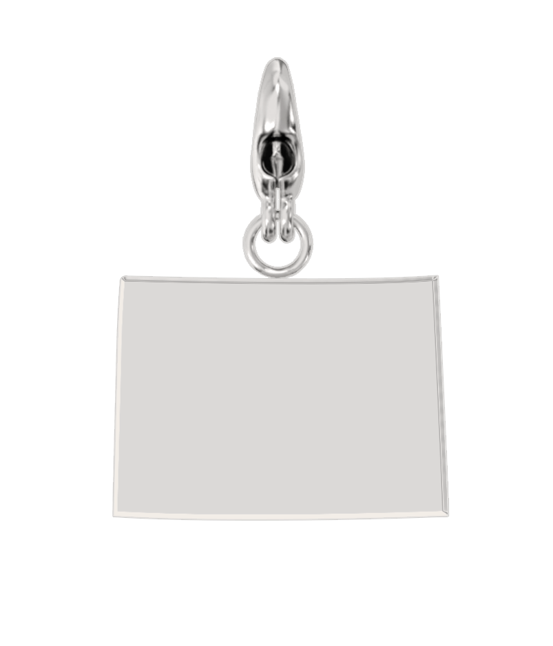 USA State Charm Set
