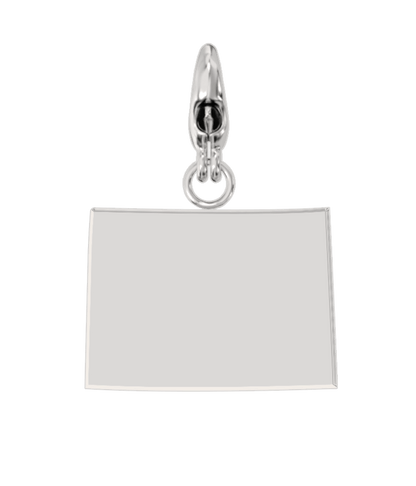 USA State Charm Set