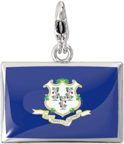 USA State Charm Set