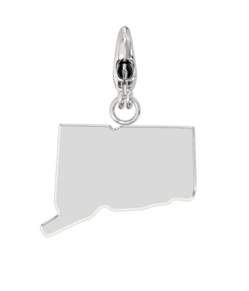 USA State Charm Set