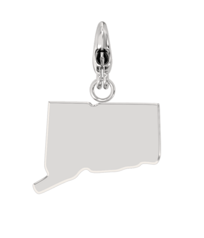 USA State Charm Set