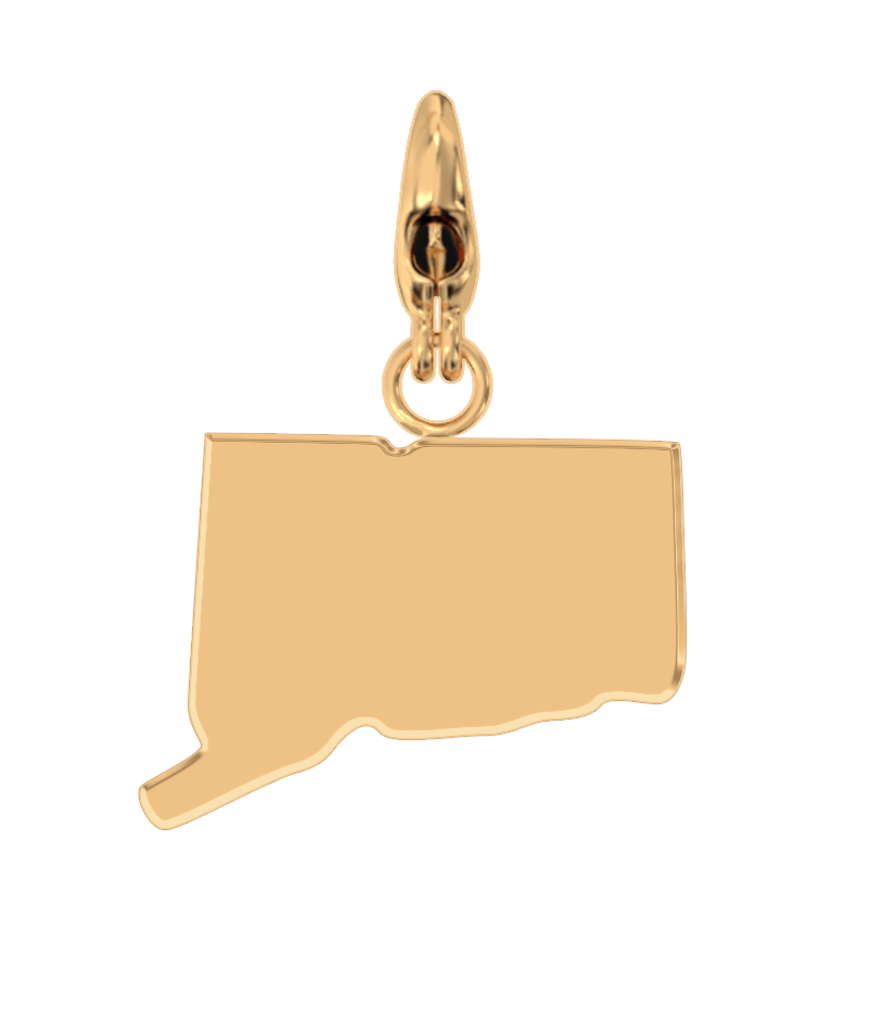 USA State Charm Set