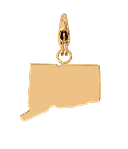USA State Charm Set