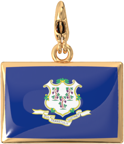 USA State Charm Set