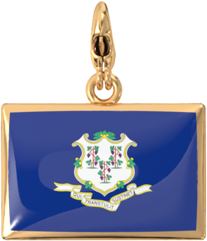 USA State Charm Set