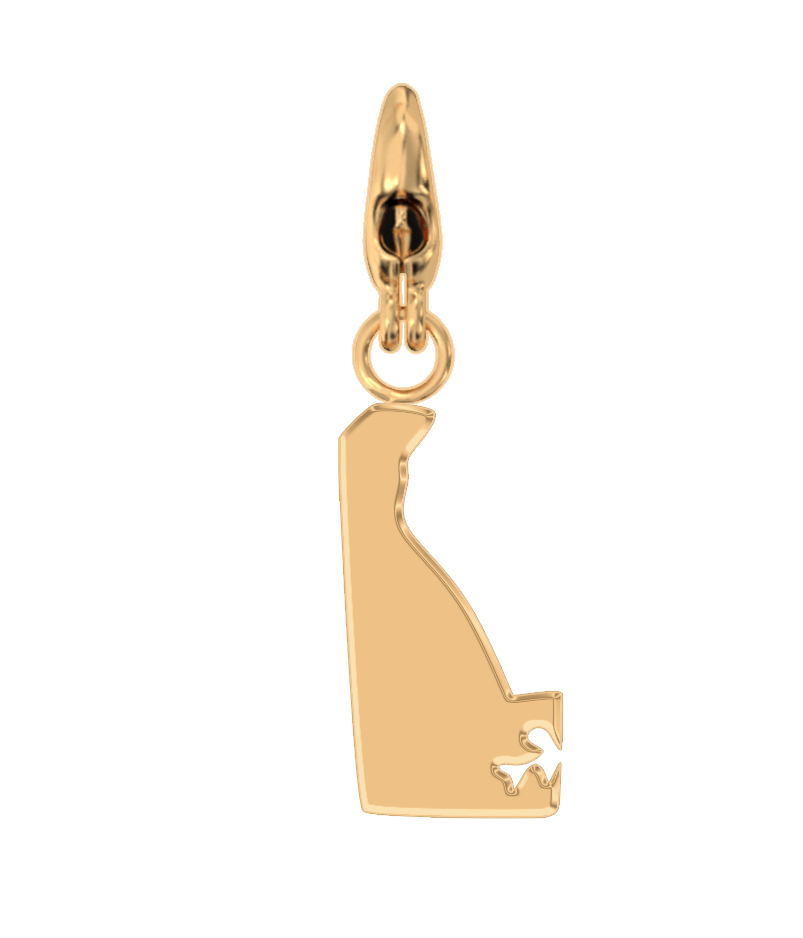 USA State Charm Set