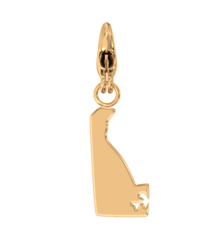 USA State Charm Set