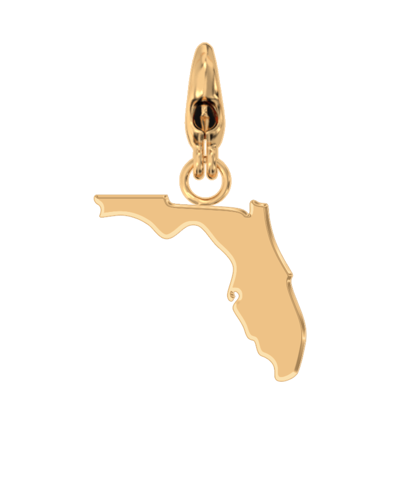 USA State Charm Set