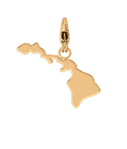 USA State Charm Set