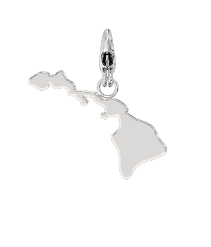 USA State Charm Set