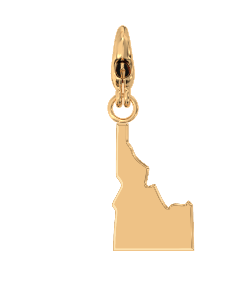 USA State Charm Set