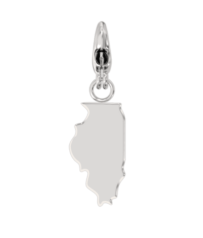 USA State Charm Set