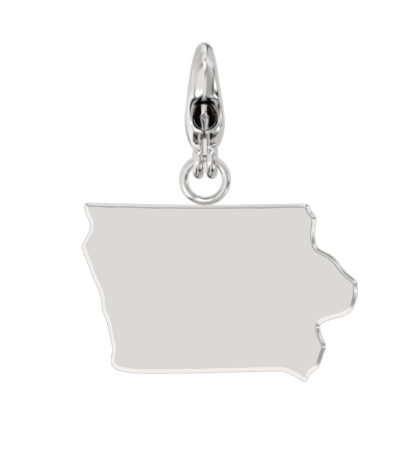 USA State Charm Set