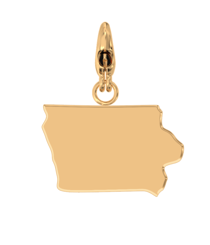 USA State Charm Set