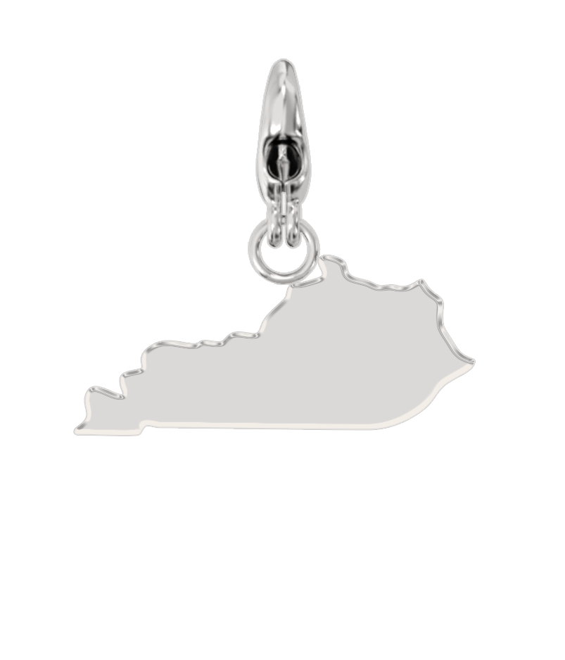 USA State Charm Set