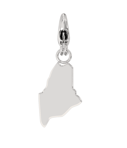 USA State Charm Set
