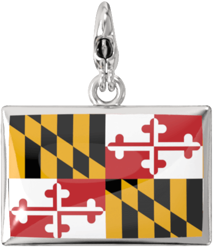 USA State Charm Set