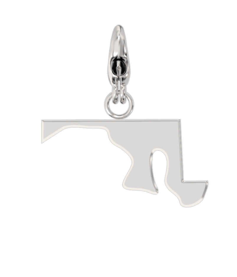 USA State Charm Set