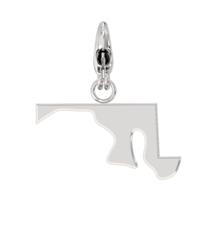 USA State Charm Set