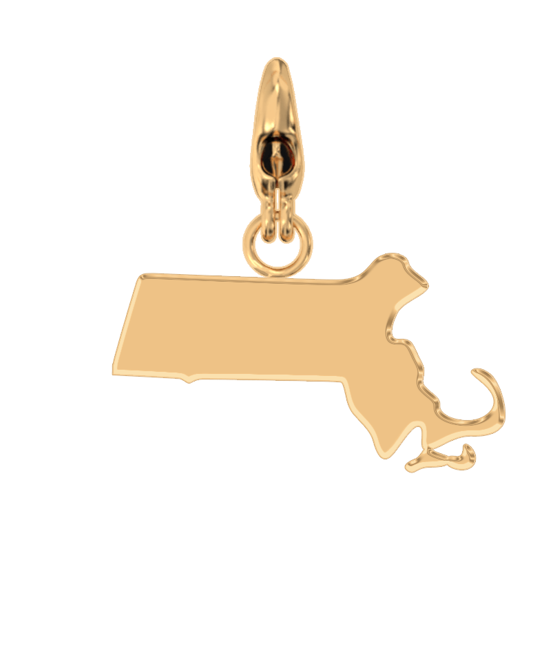 USA State Charm Set