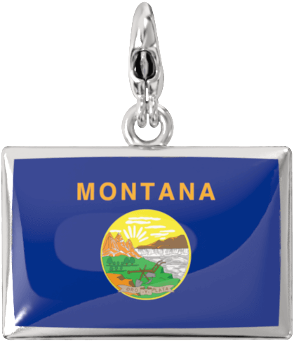 USA State Charm Set