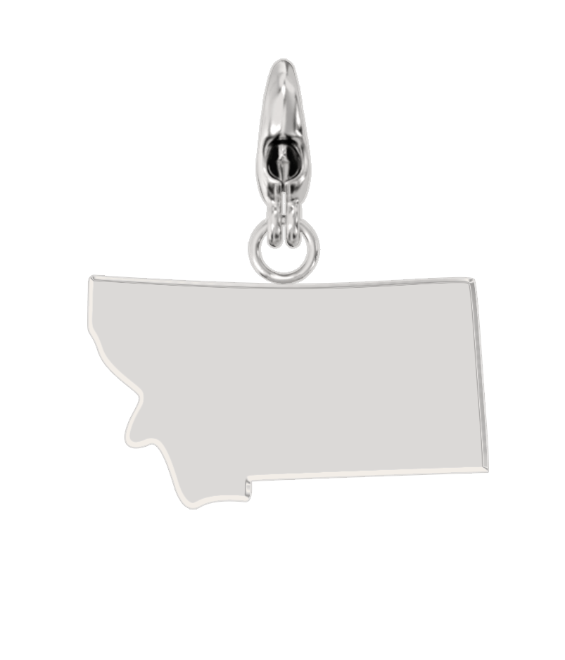 USA State Charm Set
