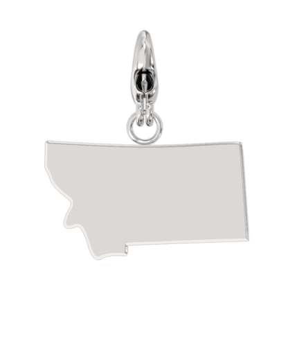 USA State Charm Set
