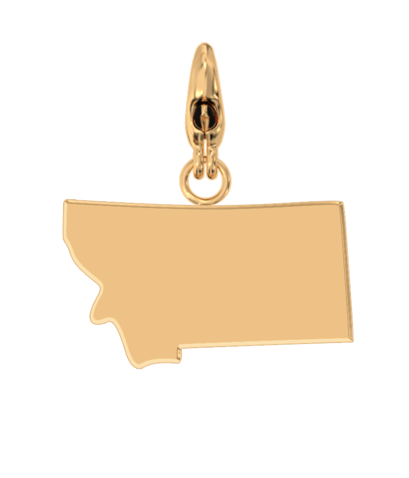 USA State Charm Set