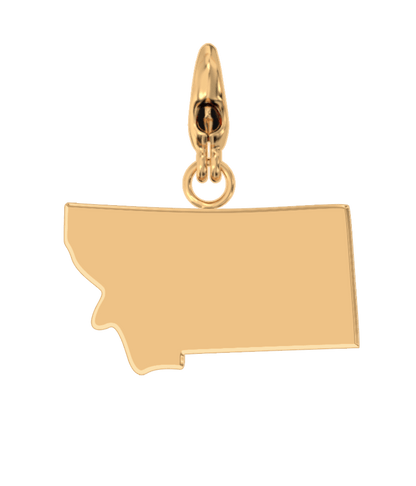 USA State Charm Set