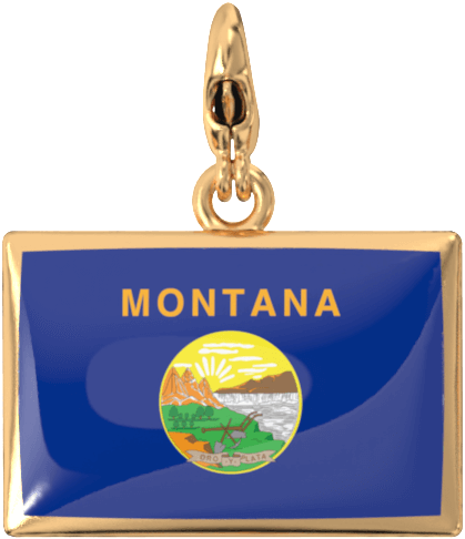 USA State Charm Set