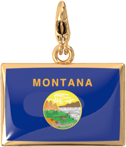 USA State Charm Set
