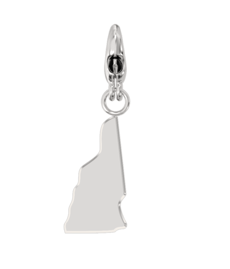 USA State Charm Set