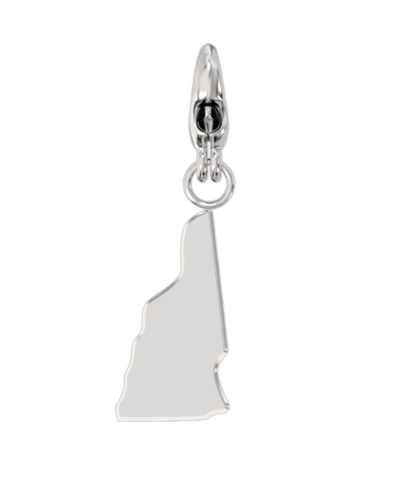 USA State Charm Set