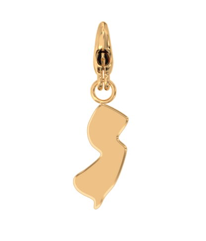 USA State Charm Set