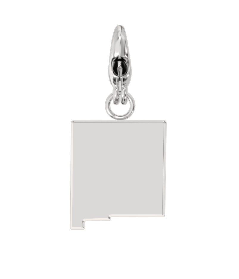 USA State Charm Set