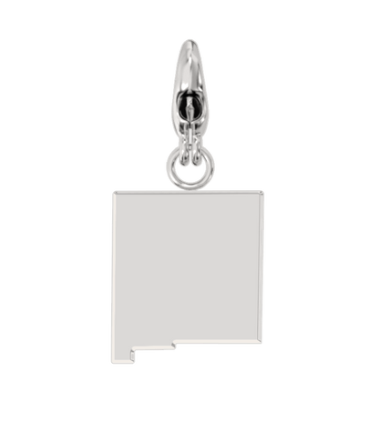USA State Charm Set