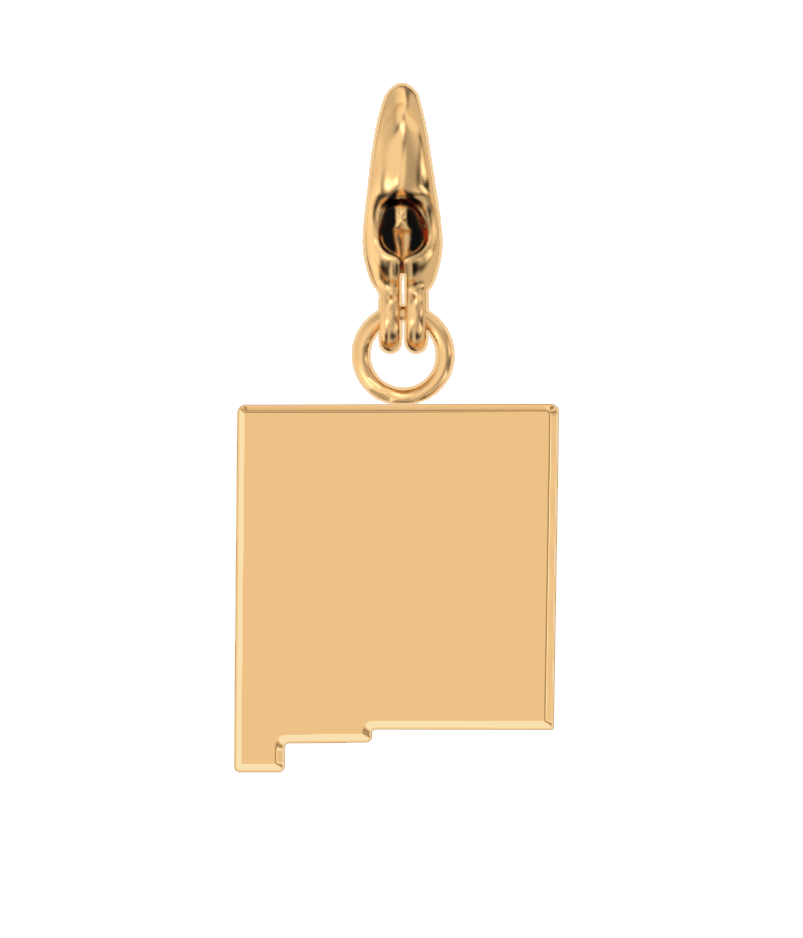 USA State Charm Set