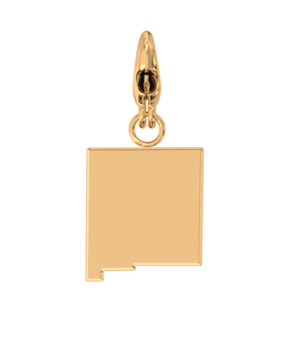 USA State Charm Set