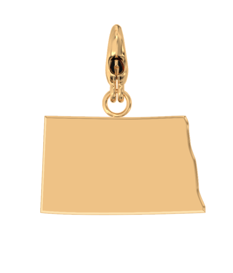 USA State Charm Set