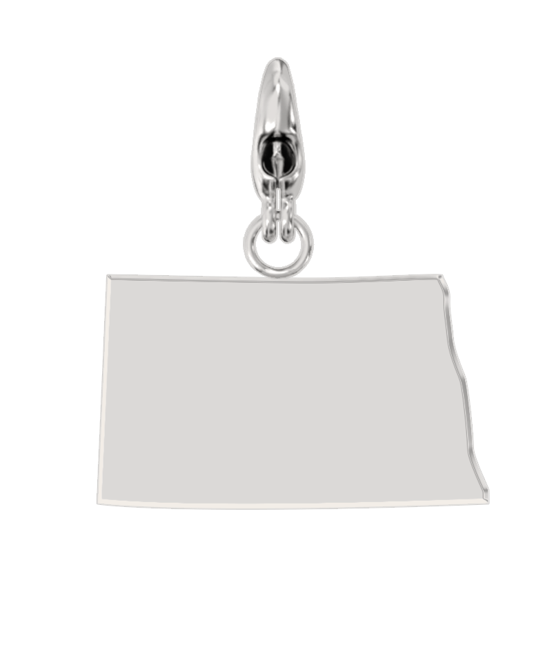 USA State Charm Set
