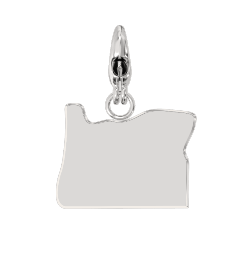 USA State Charm Set