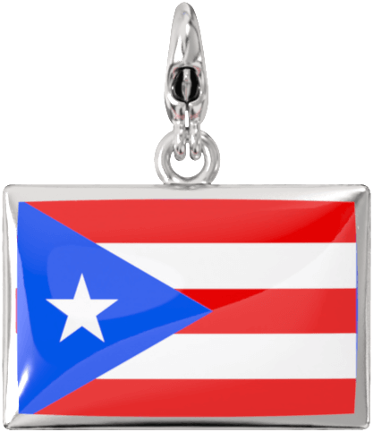 USA State Charm Set