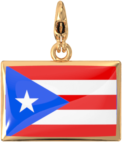 USA State Charm Set