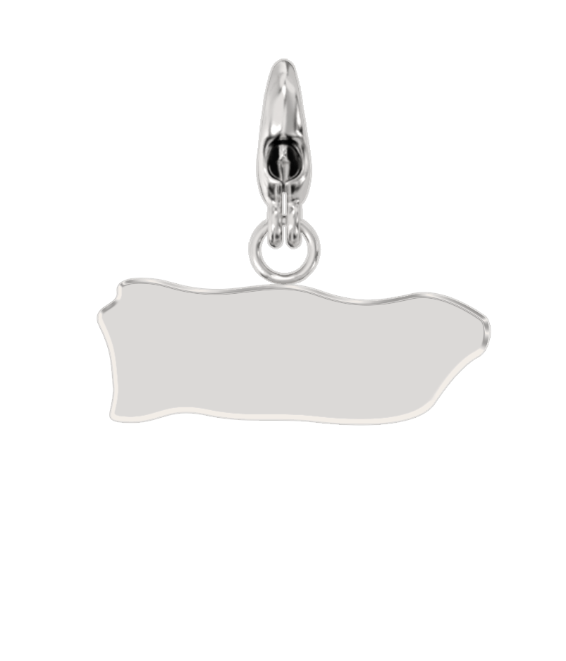 USA State Charm Set